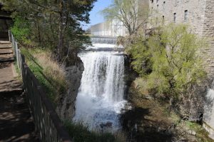 Ardent Mills