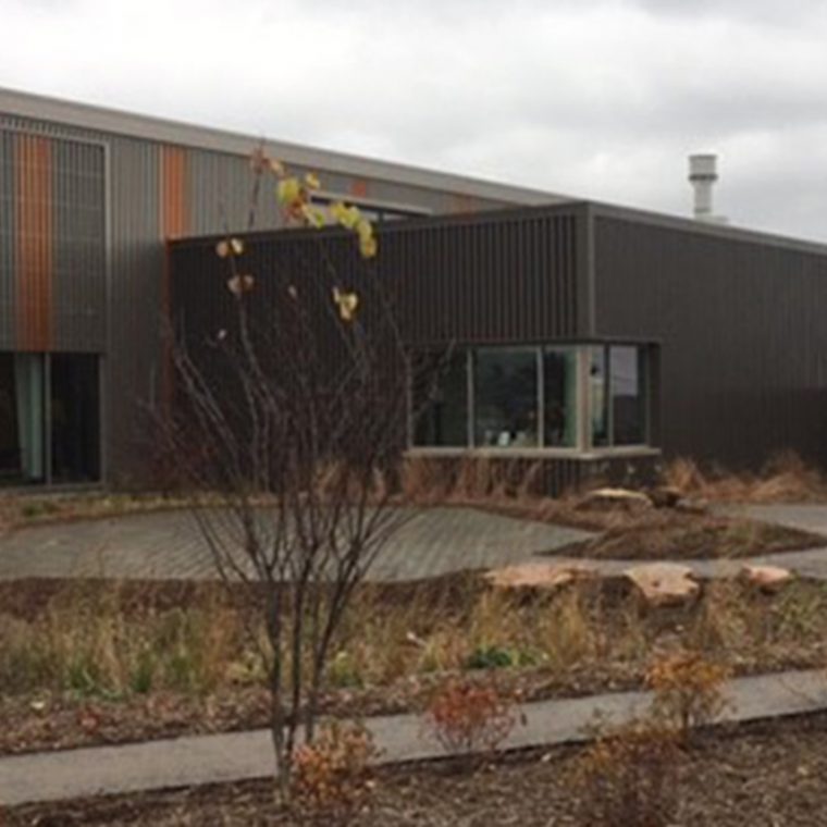 University of Minnesota – Bee Lab