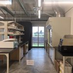 BeeLab5