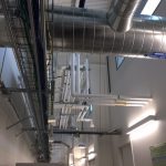 BeeLab6_MechanicalWork