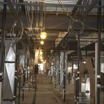 2016_Electrical_RenaissanceHotel (54)