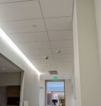 Project Black Bear Technology